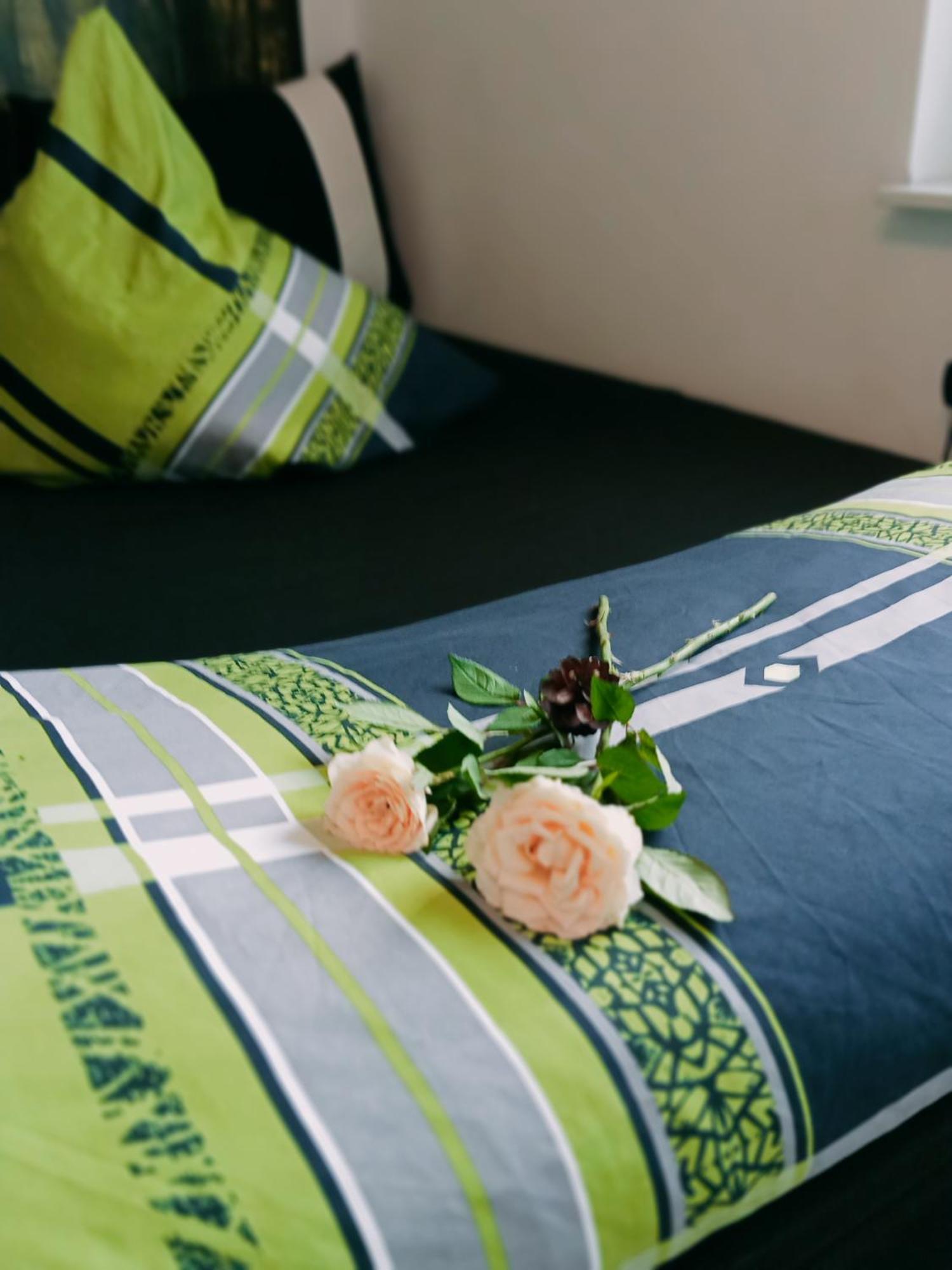 Ferienzimmer Waldzauber Borkwalde Ngoại thất bức ảnh
